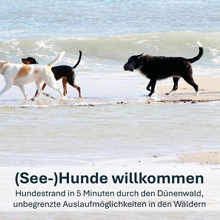 Paradies-Ambiente - Strandnah, Sauna, Kamin, Hundefreundlich Zinnowitz Kültér fotó