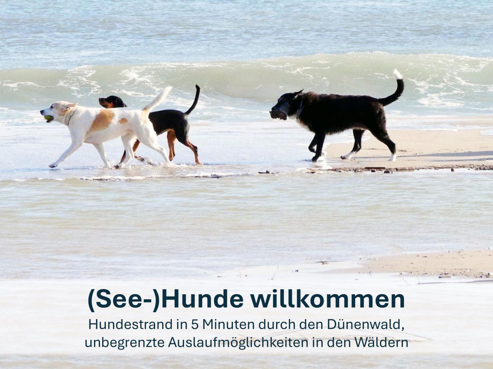 Paradies-Ambiente - Strandnah, Sauna, Kamin, Hundefreundlich Zinnowitz Kültér fotó
